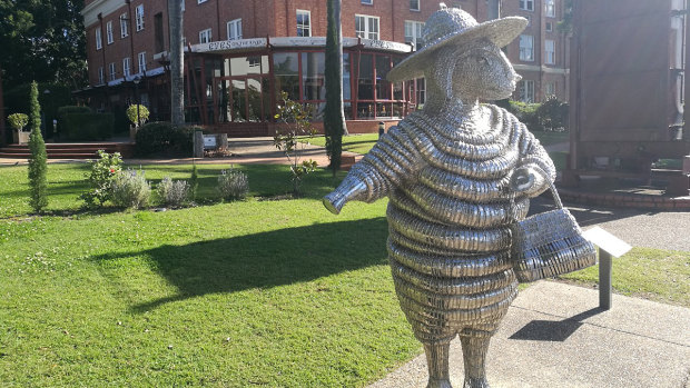 'Gloria' the ewe, at the inner Brisbane suburb of Teneriffe