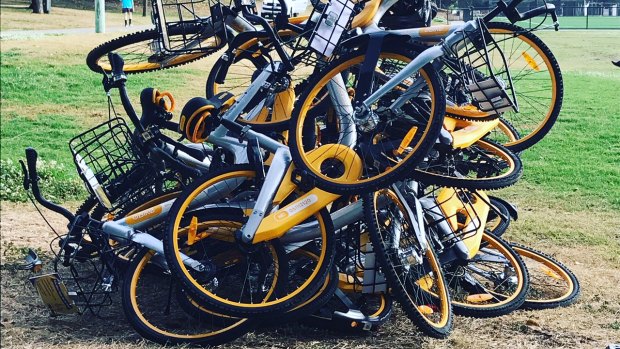 Ride-share bikes dumped in Waverley Oval last year.