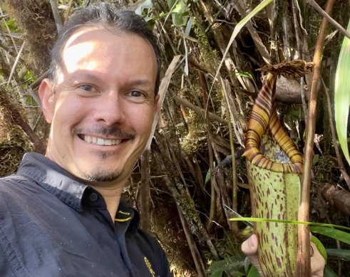 Dr Alastair Robinson in a jungle in Sabah, Malaysia, with the newly identified tropical pitcher plant Nepenthes pongoides.