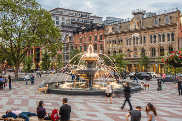 The dog fountain in Berczy Park, Toronto.