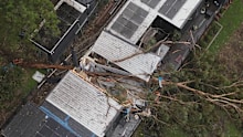 A tree came crashing down on a home at Winmalee in NSW.