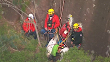 A mammoth rescue mission has ended on a Queensland mountain after an injured hiker spent 16 hours stranded.
