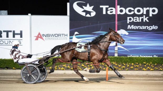 Menangle trots called off after positive COVID case
