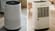 Air purifier versus dehumidifier