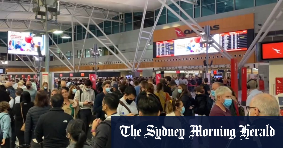 悉尼机场负责人在乘客排长队等待数小时后道歉
