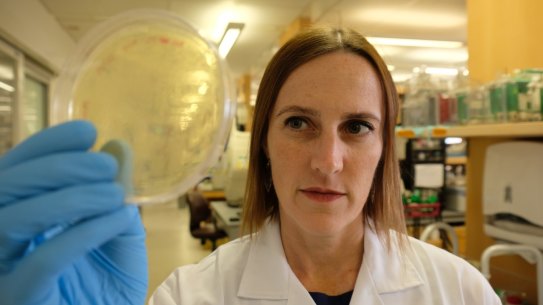 Victorian virologist Danielle Anderson.