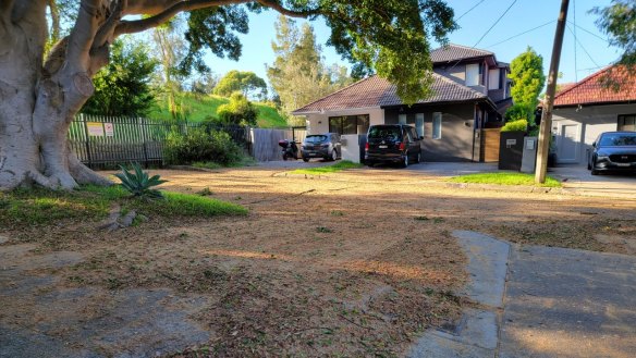 Waverley councillor Will Nemesh said residents have slipped and fallen over on the mess left by fuit bats.