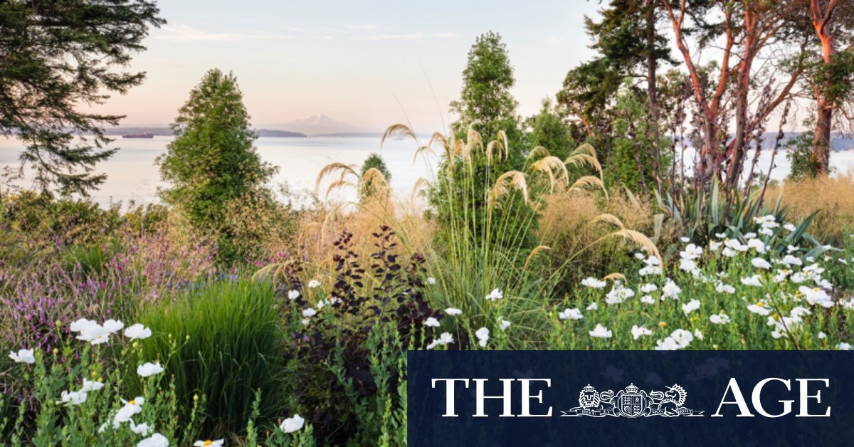 'Six times I have lamented my choice': even top gardeners get it wrong - Vimarsana News