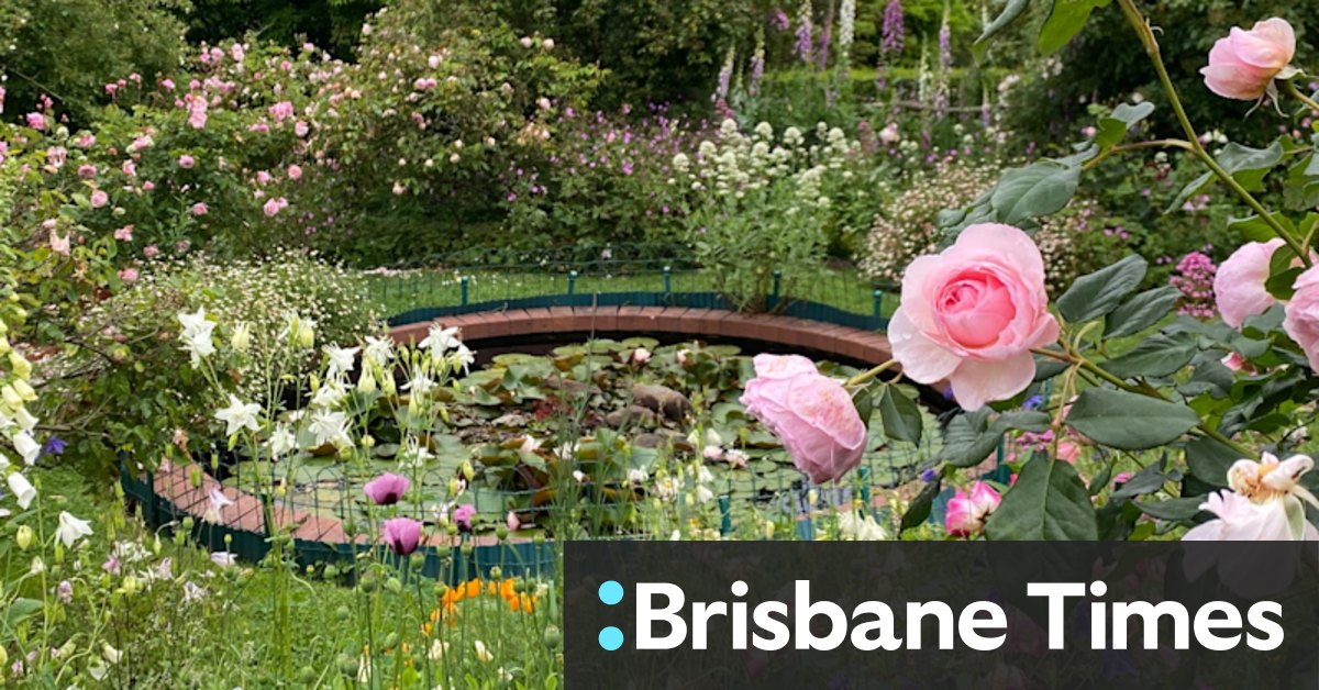 Gardening: The best self-seeding annual plants for your garden - Vimarsana News