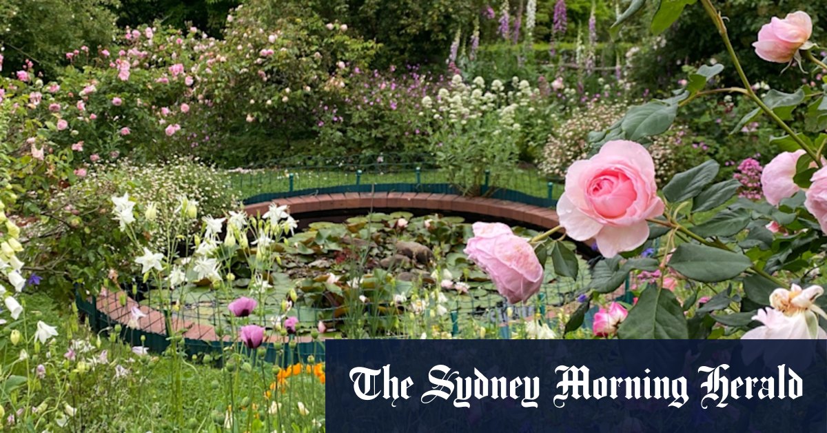 Gardening: The best self-seeding annual plants for your garden - Vimarsana News