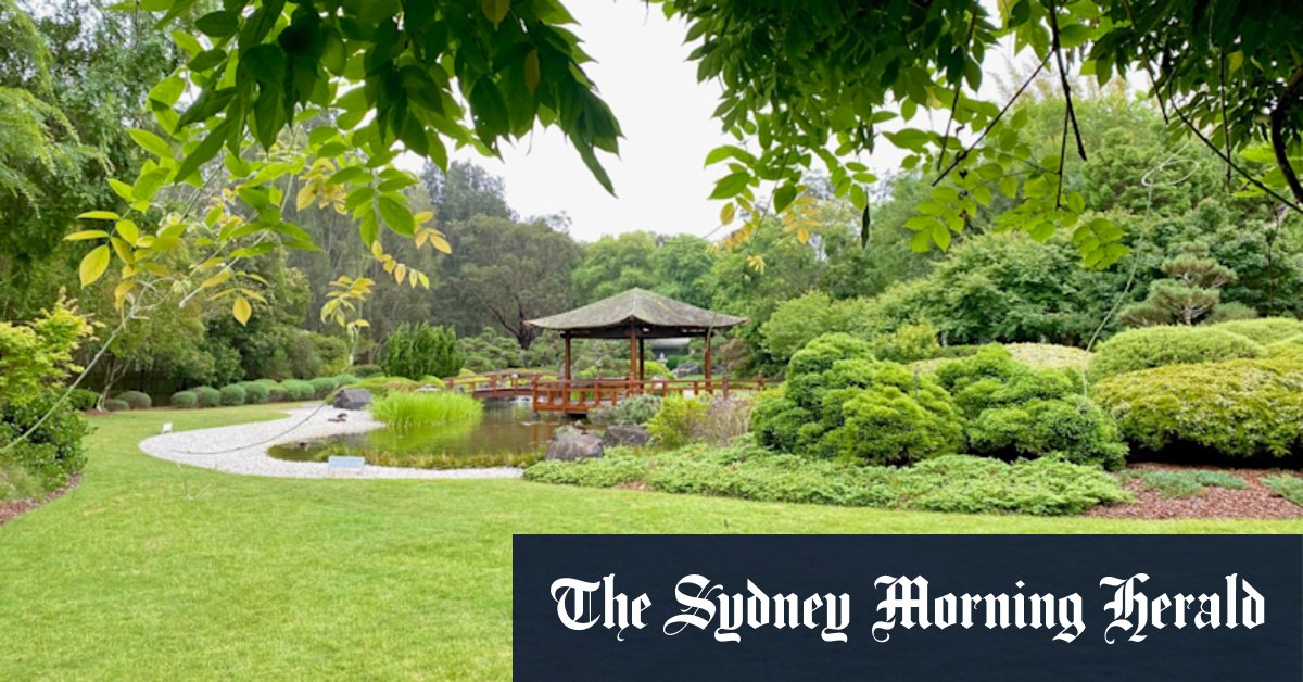 Japanese garden on Central Coast a break from beach life - Vimarsana News