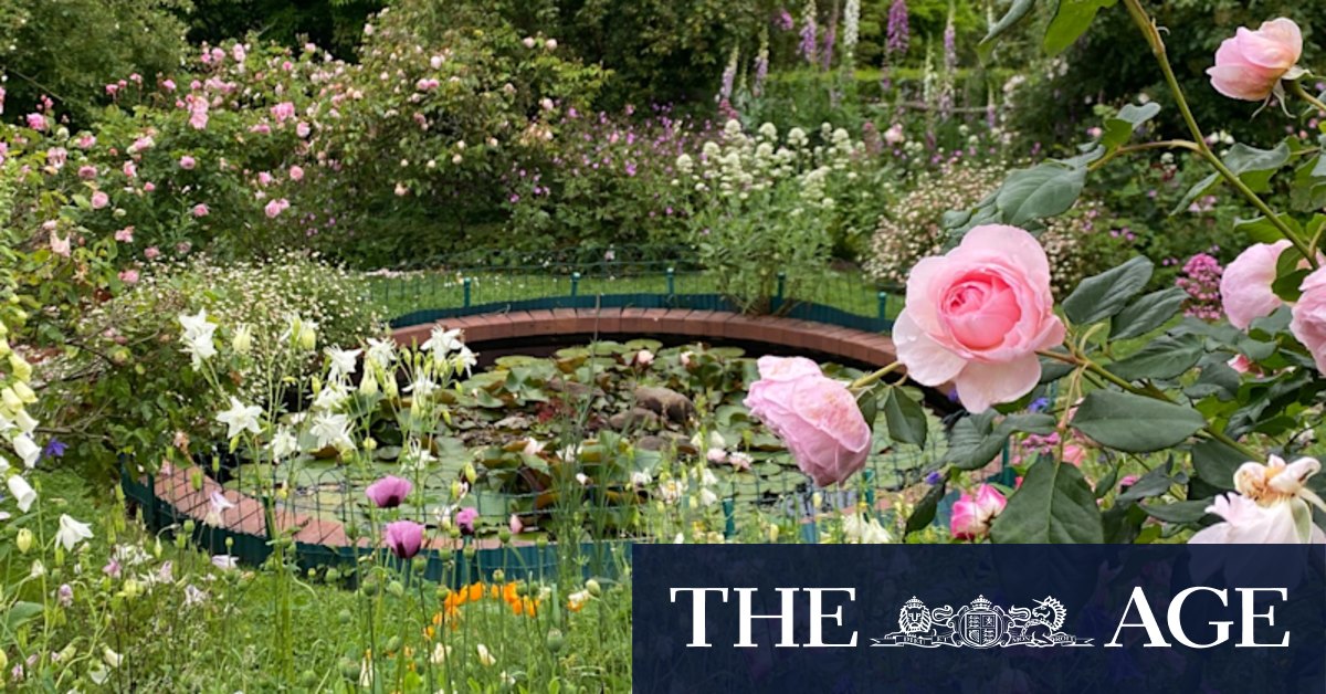Gardening: The best self-seeding annual plants for your garden - Vimarsana News