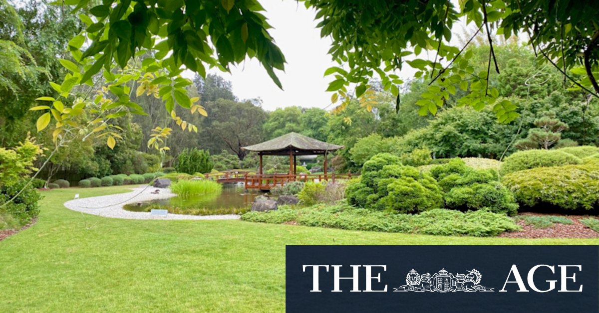 Japanese garden on Central Coast a break from beach life - Vimarsana News