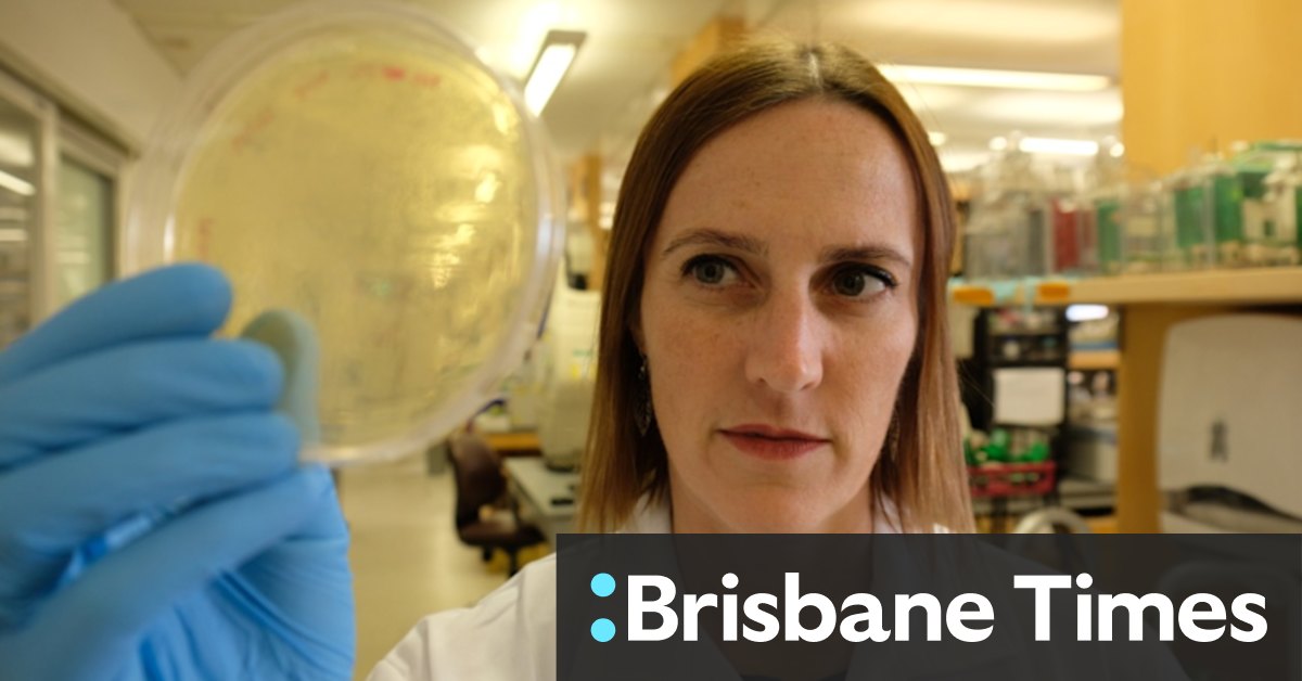 Australian scientist, the sole foreign researcher at the Wuhan lab, speaks out - Vimarsana News