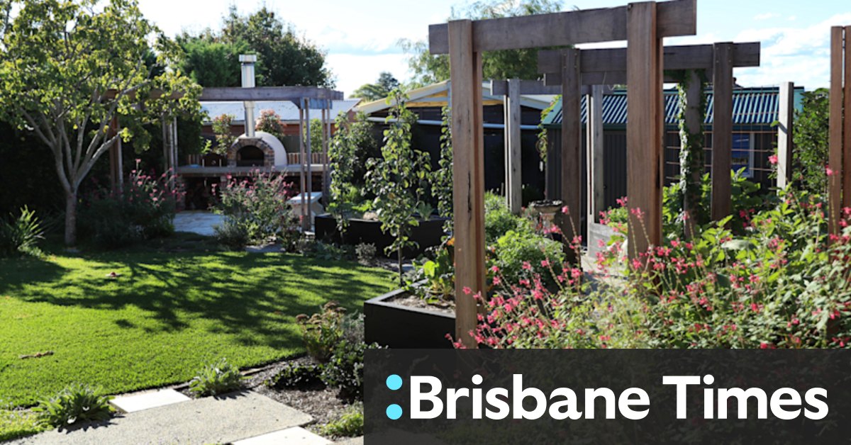 How to design a family garden that will actually get used - Vimarsana News