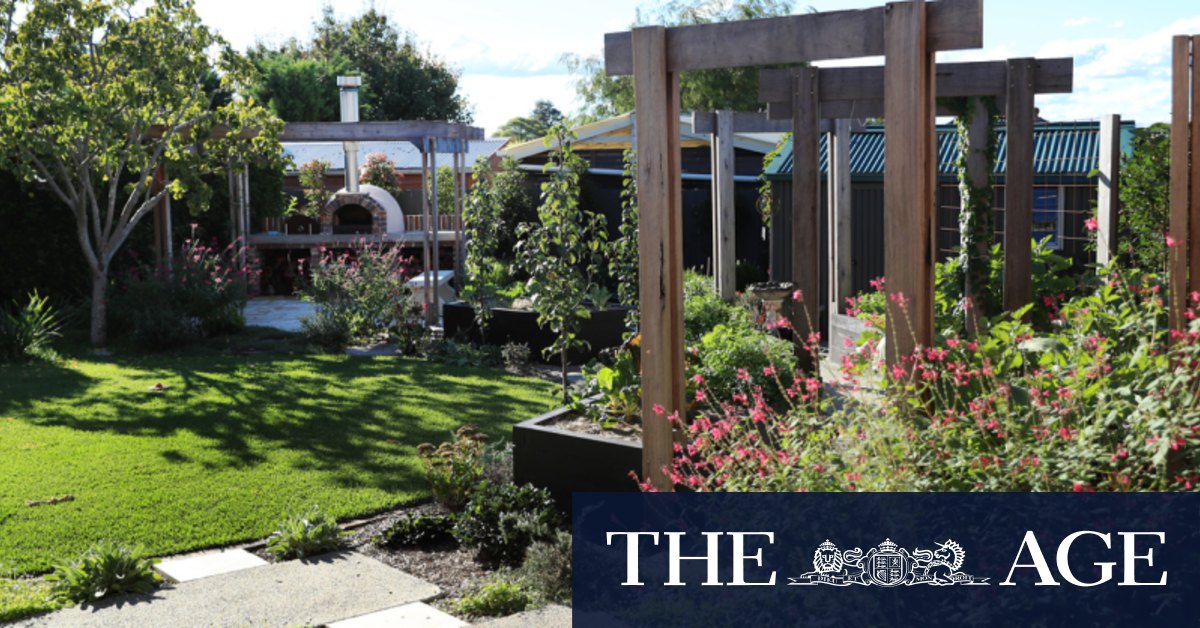 How to design a family garden that will actually get used - Vimarsana News