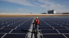 Tree-huggers should wrap their arms around renewable energy sources instead.
