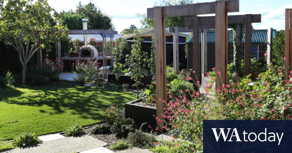How to design a family garden that will actually get used