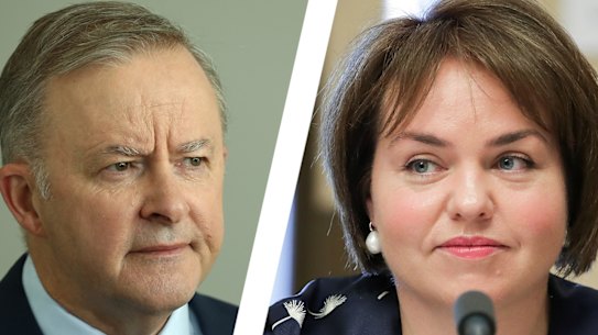 Anthony Albanese has been under pressure to open a formal inquiry into bullying allegations by the late Kimberley Kitching.
