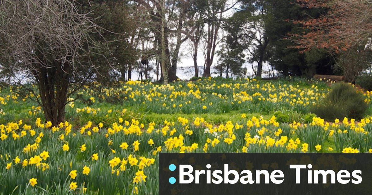 Spring gardens to visit in Sydney and NSW - Vimarsana News