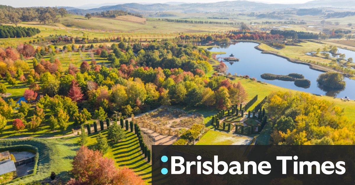 Autumn maple trees in NSW: a guide - Vimarsana News