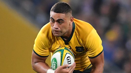 Tui unlikely to travel with Wallabies to South Africa: Cheika