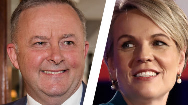 New opposition leader Anthony Albanese does not have statistics on his side in his ambition to become prime minister in 2022. Tanya Plibersek cited family reasons for bowing out of the Labor leadership contest.
