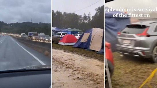 Splendour in the Grass.