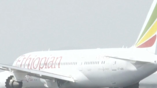 The pilots of the Ethiopian Airlines flight were only woken when an alarm signalled the flight had missed its landing, according to the report. 