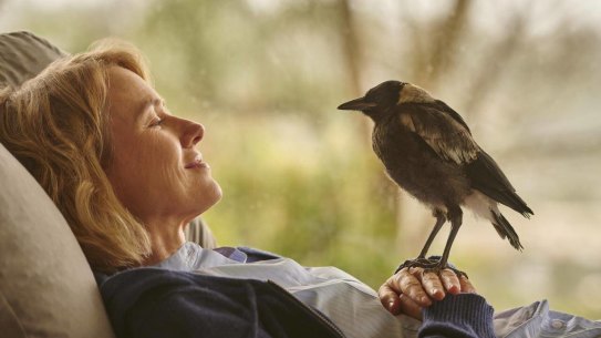 Naomi Watts and magpie in the film Penguin Bloom. 
