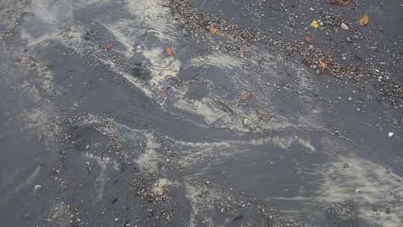 Photos of the crocodile’s body imprint and claw marks were captured. 