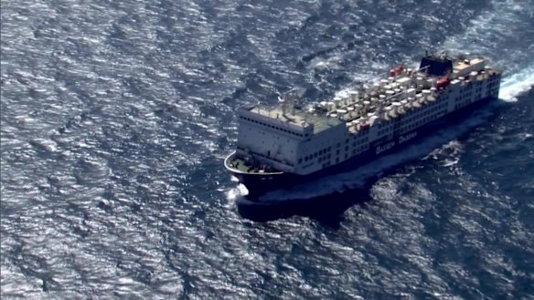Thousands of sheep and cattle have been aboard the ship MV Bahijah since January 5.