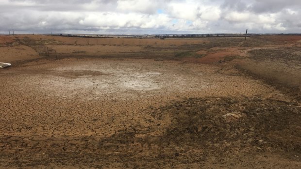 Farmers near Jerramungup – about 480 kilometres south east of Perth – say they are living in a dustbowl.