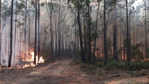 A fire burning in the Meroo National Park has closed camping grounds.  