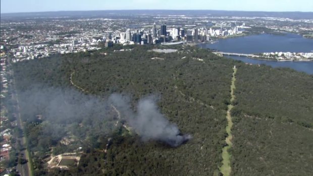 Arson squad investigating Kings Park fires