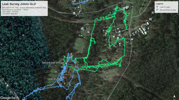 This map tracks the movements of the two dogs following an underground leak they discovered in Jimna in the Somerset region.

