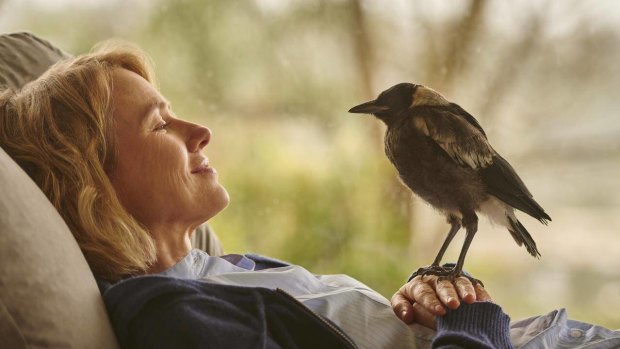 Naomi Watts and the magpie in the film Penguin Bloom. 