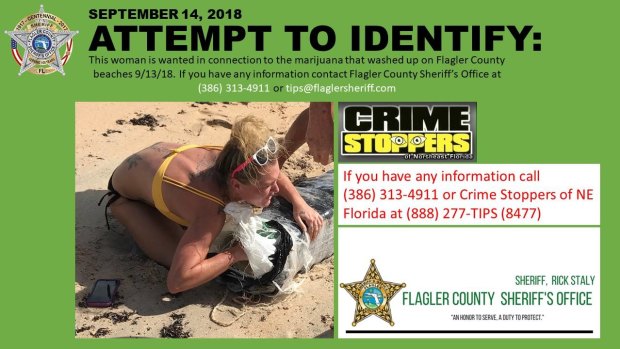 A woman is wanted after marijuana washed up on a Florida beach.