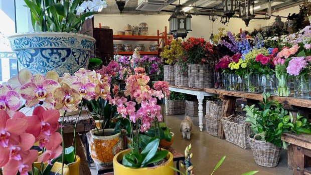 Hacienda Flowers and Furnishings is a florist and homewares business in Albion, Brisbane.