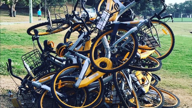 A stack of oBikes at Waverley Oval, Bondi Road, in October.