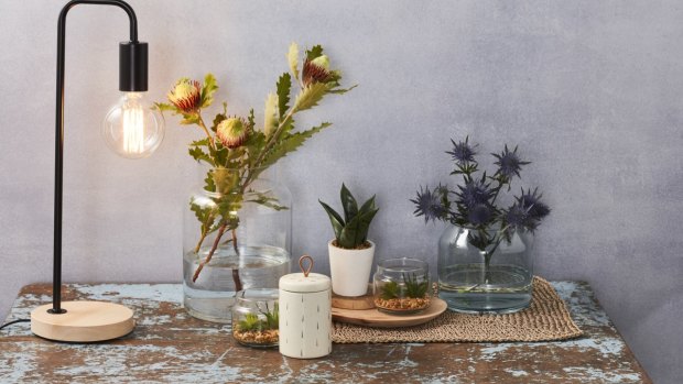 Products in Coles' new homewares range.