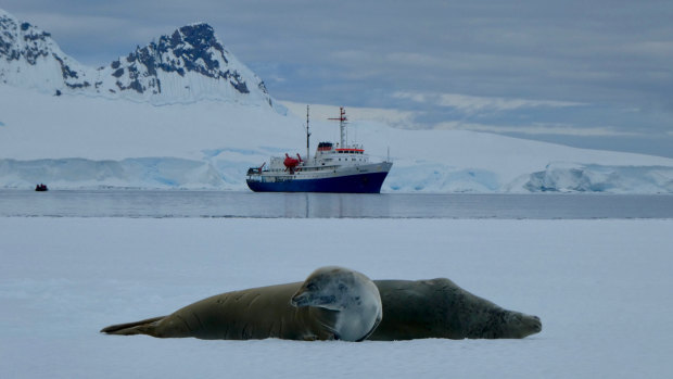 The Homeward Bound STEMM leadership project heads to Antarctica in 2019.