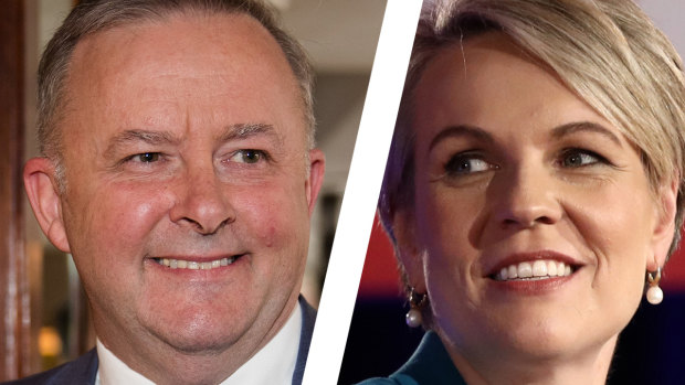 New opposition leader Anthony Albanese does not have statistics on his side in his ambition to become prime minister in 2022. Tanya Plibersek cited family reasons for bowing out of the Labor leadership contest.
