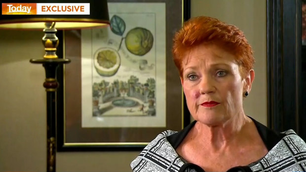 One Nation leader Pauline Hanson has claimed she has been misrepresented in secret recordings released as part of al-Jazeera's investigation.