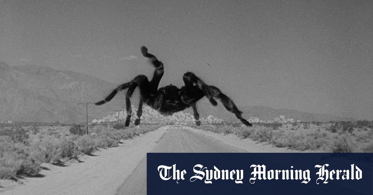 Why spiders aren't the villains you think they are - Vimarsana News