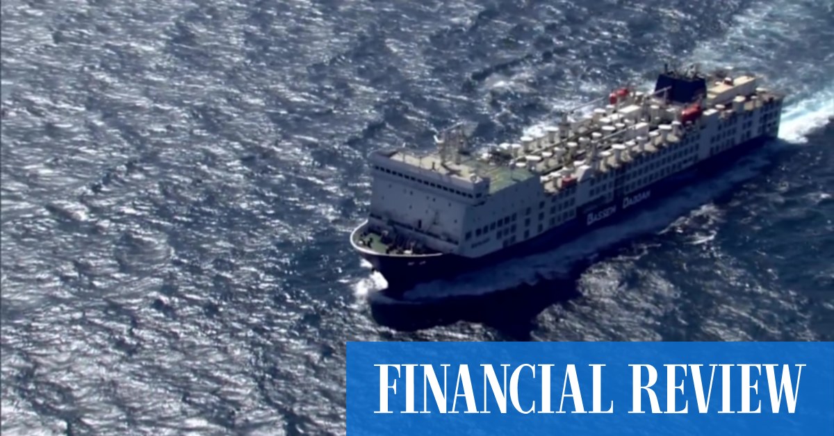 Thousands of animals stuck on ship after dock offer from WA rejected - Vimarsana News