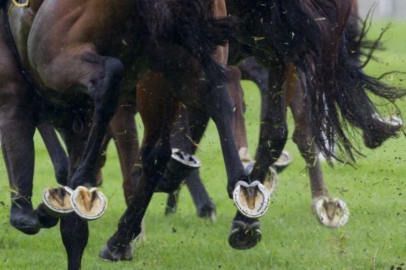 Racing returns to Warwick Farm on Wednesday with a seven-race card.