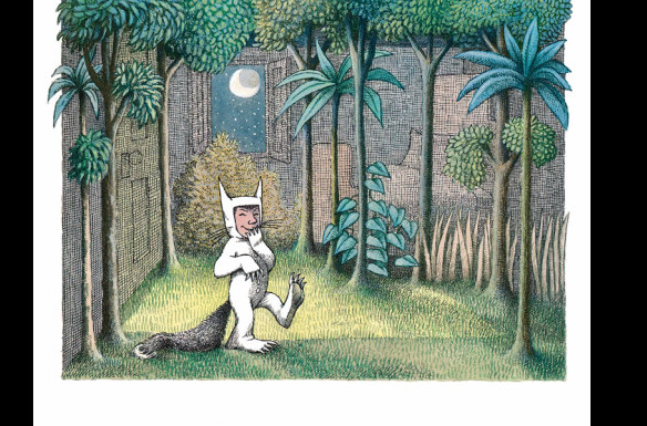 An illustration from Where The Wild Things Are.