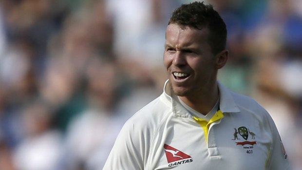 Peter Siddle is a veteran of three Ashes campaigns in England.