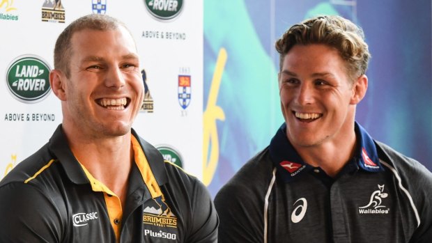 Reunited: David Pocock and Michael Hooper are odds on to be paired in the back row against Ireland.